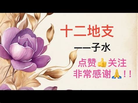 子水 陰陽|十二地支基础解读：子水